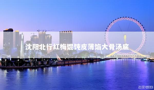 沈阳北行红梅馄饨皮薄馅大骨汤底