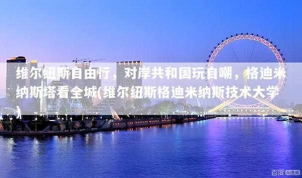维尔纽斯自由行，对岸共和国玩自嘲，格迪米纳斯塔看全城(维尔纽斯格迪米纳斯技术大学)