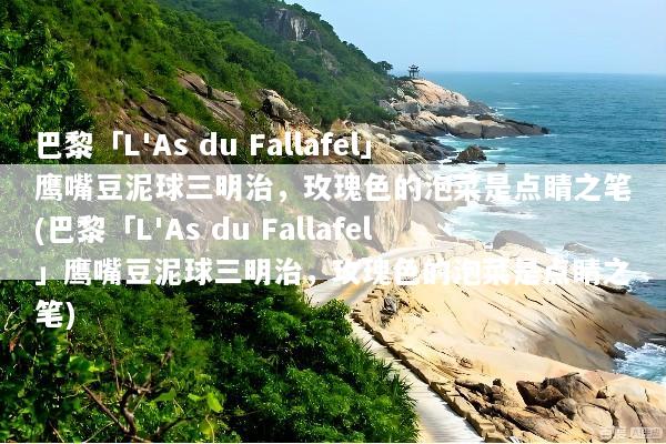 巴黎「L'As du Fallafel」鹰嘴豆泥球三明治，玫瑰色的泡菜是点睛之笔(巴黎「L'As du Fallafel」鹰嘴豆泥球三明治，玫瑰色的泡菜是点睛之笔)