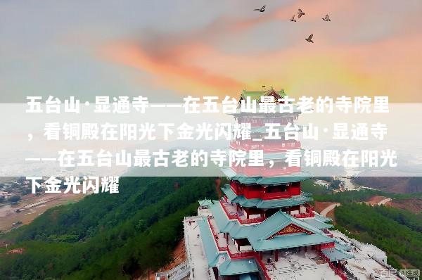 五台山·显通寺——在五台山最古老的寺院里，看铜殿在阳光下金光闪耀_五台山·显通寺——在五台山最古老的寺院里，看铜殿在阳光下金光闪耀