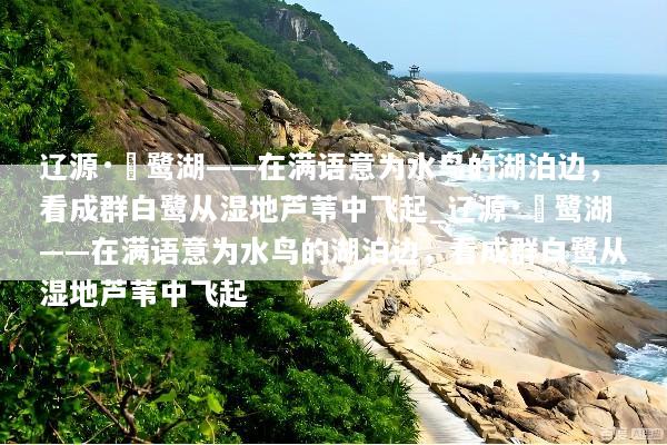 辽源·鴜鹭湖——在满语意为水鸟的湖泊边，看成群白鹭从湿地芦苇中飞起_辽源·鴜鹭湖——在满语意为水鸟的湖泊边，看成群白鹭从湿地芦苇中飞起