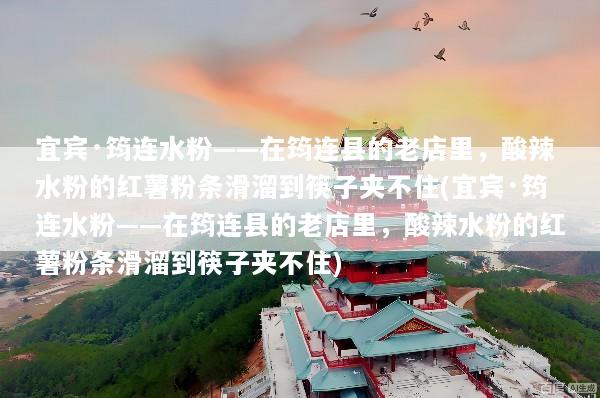 宜宾·筠连水粉——在筠连县的老店里，酸辣水粉的红薯粉条滑溜到筷子夹不住(宜宾·筠连水粉——在筠连县的老店里，酸辣水粉的红薯粉条滑溜到筷子夹不住)