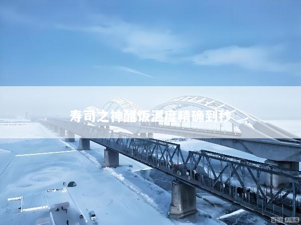 寿司之神醋饭温度精确到秒