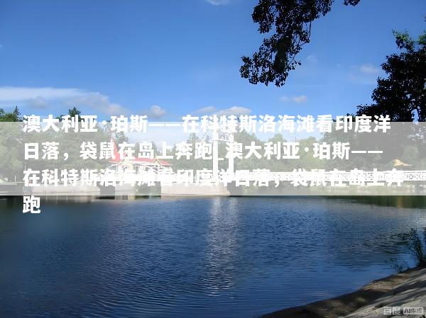 澳大利亚·珀斯——在科特斯洛海滩看印度洋日落，袋鼠在岛上奔跑_澳大利亚·珀斯——在科特斯洛海滩看印度洋日落，袋鼠在岛上奔跑