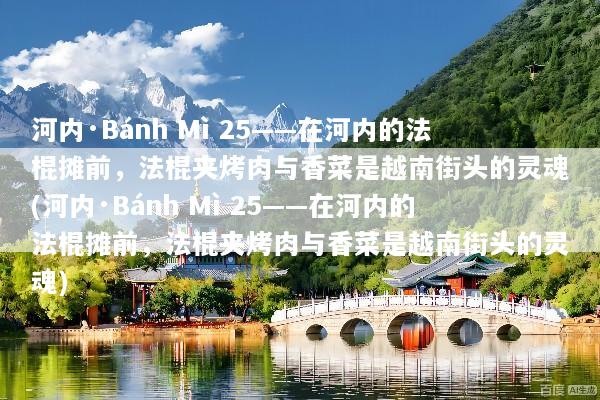 河内·Bánh Mì 25——在河内的法棍摊前，法棍夹烤肉与香菜是越南街头的灵魂(河内·Bánh Mì 25——在河内的法棍摊前，法棍夹烤肉与香菜是越南街头的灵魂)