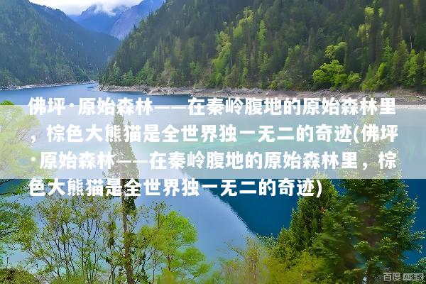 佛坪·原始森林——在秦岭腹地的原始森林里，棕色大熊猫是全世界独一无二的奇迹(佛坪·原始森林——在秦岭腹地的原始森林里，棕色大熊猫是全世界独一无二的奇迹)