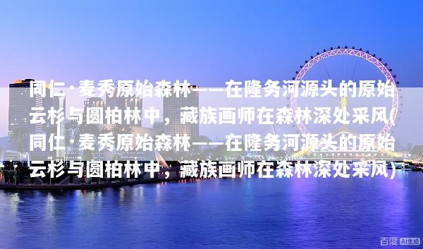 同仁·麦秀原始森林——在隆务河源头的原始云杉与圆柏林中，藏族画师在森林深处采风(同仁·麦秀原始森林——在隆务河源头的原始云杉与圆柏林中，藏族画师在森林深处采风)