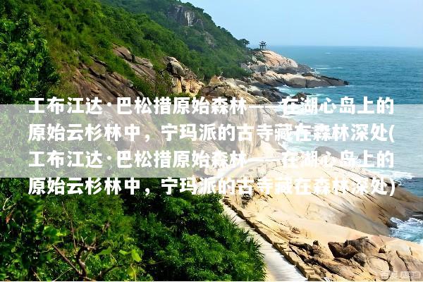 工布江达·巴松措原始森林——在湖心岛上的原始云杉林中，宁玛派的古寺藏在森林深处(工布江达·巴松措原始森林——在湖心岛上的原始云杉林中，宁玛派的古寺藏在森林深处)