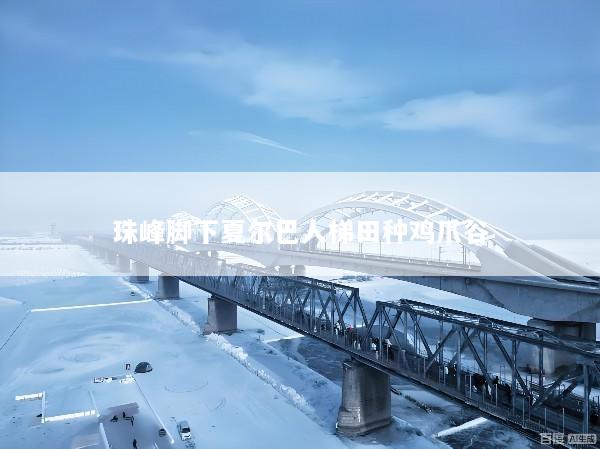 珠峰脚下夏尔巴人梯田种鸡爪谷