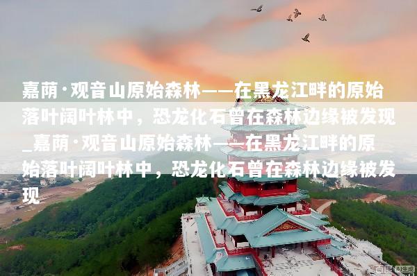 嘉荫·观音山原始森林——在黑龙江畔的原始落叶阔叶林中，恐龙化石曾在森林边缘被发现_嘉荫·观音山原始森林——在黑龙江畔的原始落叶阔叶林中，恐龙化石曾在森林边缘被发现