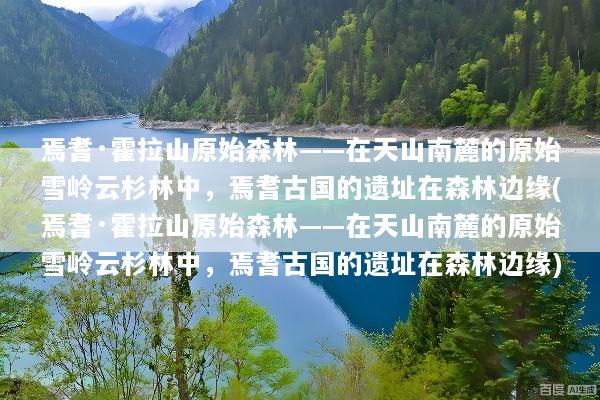 焉耆·霍拉山原始森林——在天山南麓的原始雪岭云杉林中，焉耆古国的遗址在森林边缘(焉耆·霍拉山原始森林——在天山南麓的原始雪岭云杉林中，焉耆古国的遗址在森林边缘)